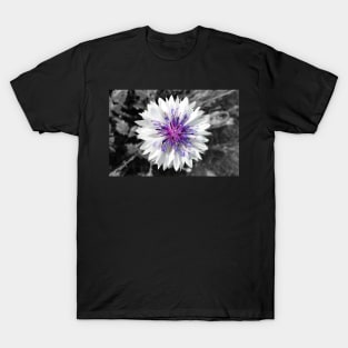 The White Cornflower T-Shirt